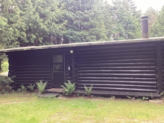 Ferienhaus Uslev Außenaufnahme 13