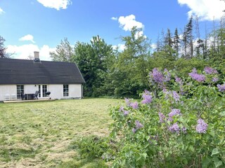 Holiday house Glemmingebro Outdoor Recording 5