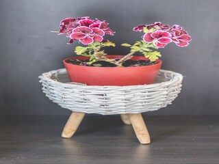 Appartamento Jesenice bei Dugi Rat  19