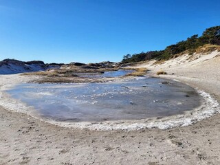 Vakantiehuis Dueodde  15