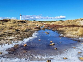 Maison de vacances Dueodde  5