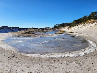 Maison de vacances Dueodde  8