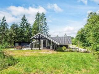 Ferienhaus Silkeborg Außenaufnahme 2