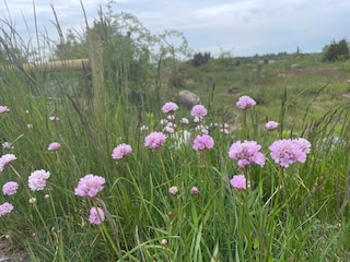 Holiday house Karlskrona Outdoor Recording 12