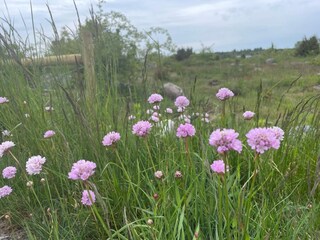 Vakantiehuis Karlskrona Buitenaudio-opname 10