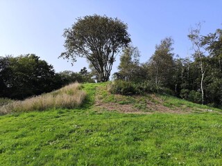 Vakantiehuis Veddinge  38