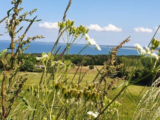 Ferienhaus Veddinge  17