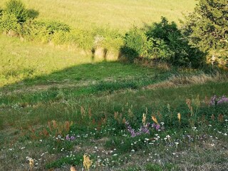 Ferienhaus Veddinge  27