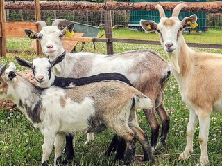 Holiday house Knud Strand  38