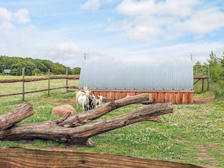 Ferienhaus Knud Strand  37