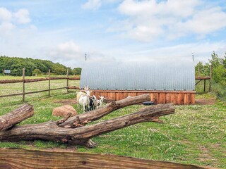Ferienhaus Knud Strand  8