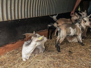 Ferienhaus Knud Strand  36