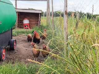 Ferienhaus Knud Strand  21