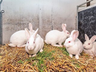 Holiday house Knud Strand  9