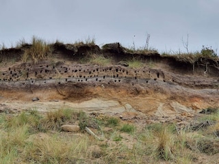 Ferienhaus Knud Strand  19