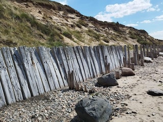 Ferienhaus Knud Strand  39
