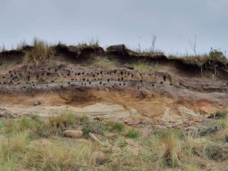 Ferienhaus Knud Strand  13