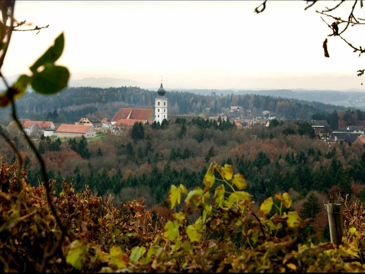 Aussicht auf St.Stefan ob Stainz