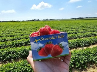 Vakantiehuis Landskrona  14