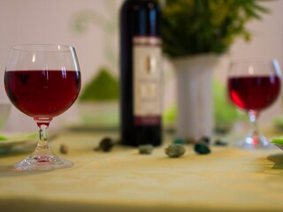 Appartamento Vrh Caratteristiche 12