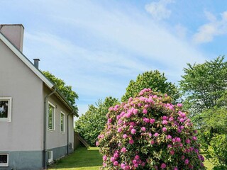 Casa per le vacanze Vejbystrand Registrazione all'aperto 6