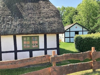 Ferienhaus Læsø Außenaufnahme 3