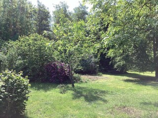 Ferienhaus Læsø Außenaufnahme 4