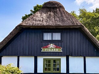 Ferienhaus Læsø Außenaufnahme 4