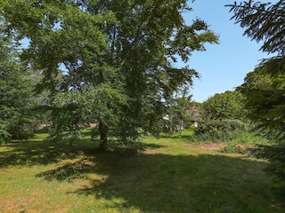 Ferienhaus Læsø  25
