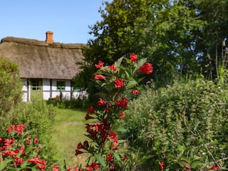 Ferienhaus Læsø  26
