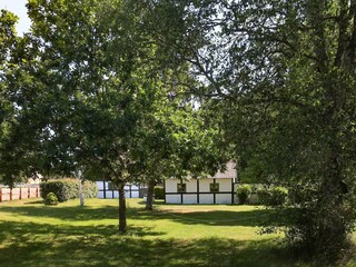 Ferienhaus Læsø  15