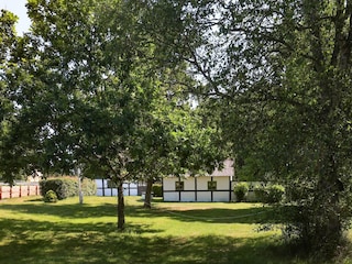 Ferienhaus Læsø  27