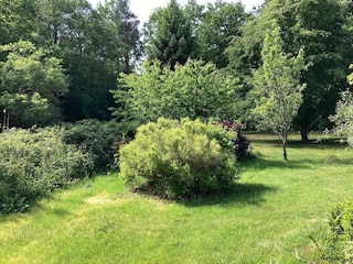 Ferienhaus Læsø Außenaufnahme 6