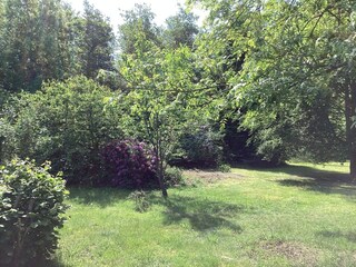 Ferienhaus Læsø Außenaufnahme 6