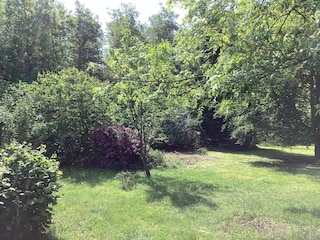 Ferienhaus Læsø Außenaufnahme 7