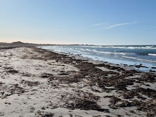 Ferienhaus Læsø  39