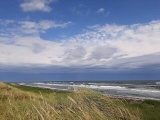 Ferienhaus Læsø  24