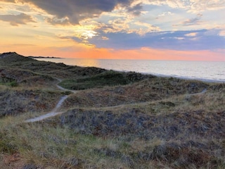 Ferienhaus Læsø  28