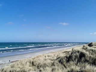 Ferienhaus Læsø  40