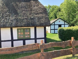 Ferienhaus Læsø Außenaufnahme 8