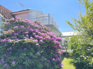 Casa per le vacanze Laholm Registrazione all'aperto 9