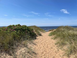 Casa per le vacanze Laholm  28