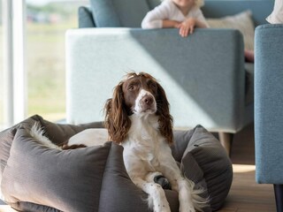 Maison de vacances Brenderup  21