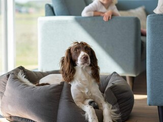 Ferienhaus Brenderup  36