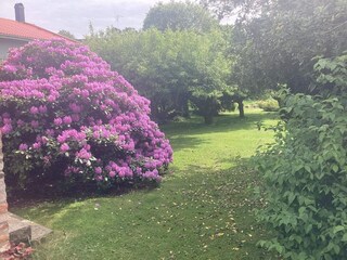 Vakantiehuis Heberg Buitenaudio-opname 2