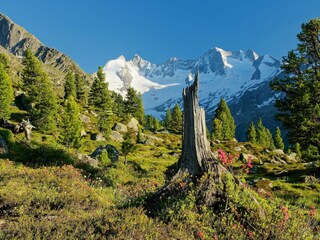 Vakantiehuis Krimml Omgeving 26