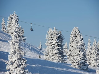 Holiday house Krimml Environment 32