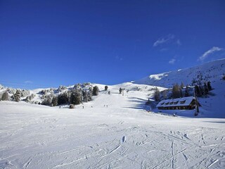 Chalet Turracherhöhe Ambiente 13