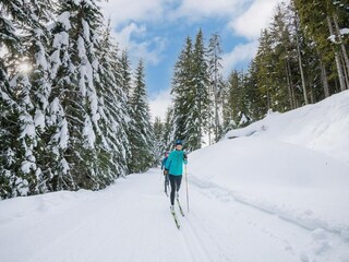 Chalet Turracherhöhe Umgebung 16