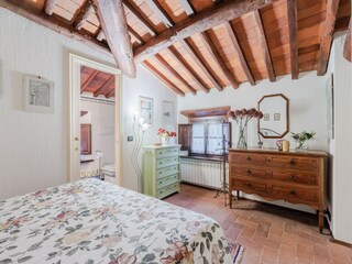 Fattoria Torcigliano Caratteristiche 40
